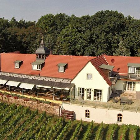 Pension Bella Vista - Winzerhof Golk Meissen Luaran gambar