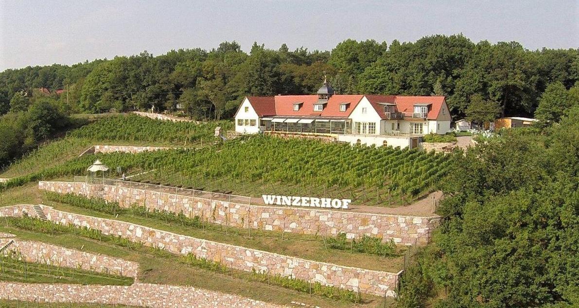 Pension Bella Vista - Winzerhof Golk Meissen Luaran gambar